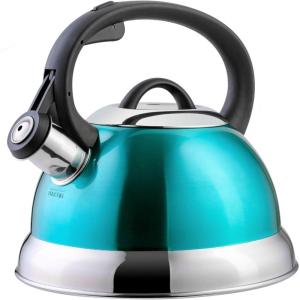 Mr. Coffee Armidale 2.5QT Whistling Tea Kettle, Large Brushed Stainless Steel Kettle for Stovetop, Durable Fast-Boil Tea Pot(Metallic Teal Green)